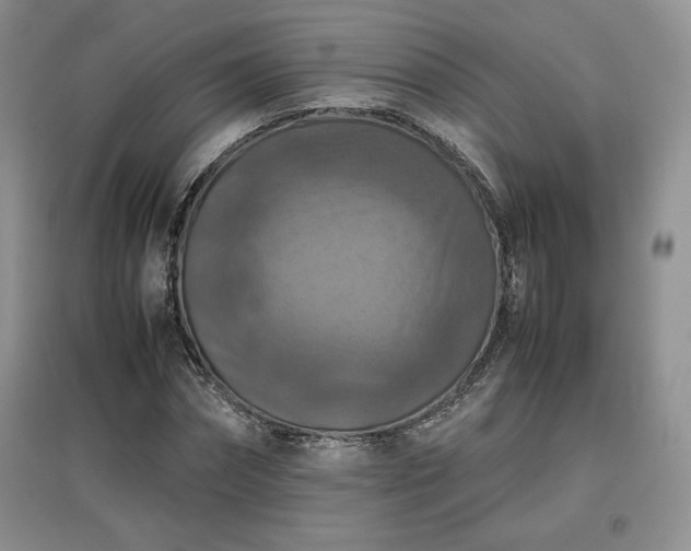 X0000097600874200803071427
