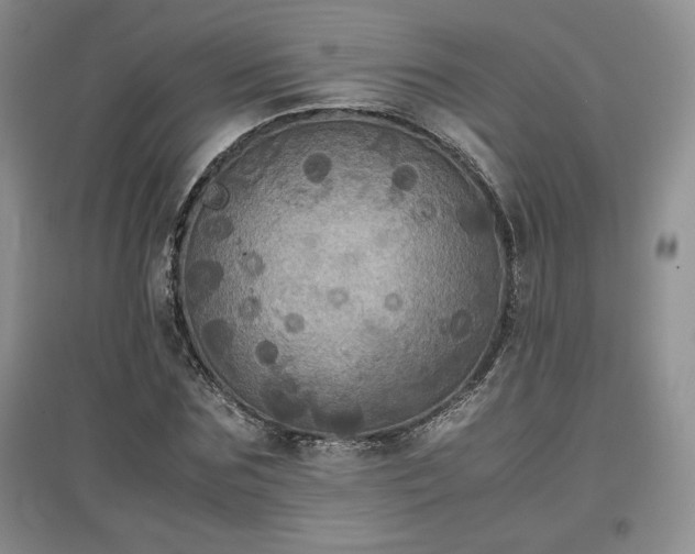 X0000097600875200803071427