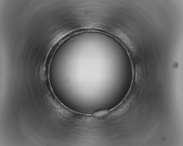 X0000097600876200803071427