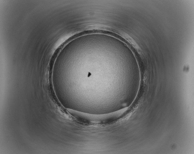 X0000097600877200803071427