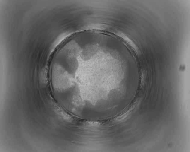 X0000097600878200803071427