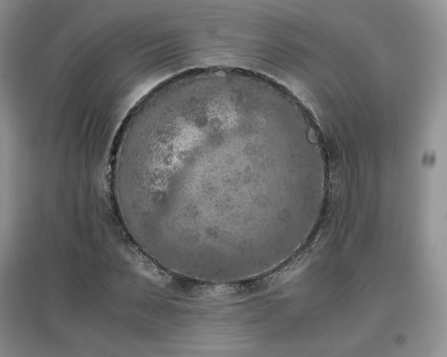 X0000097600879200803071427