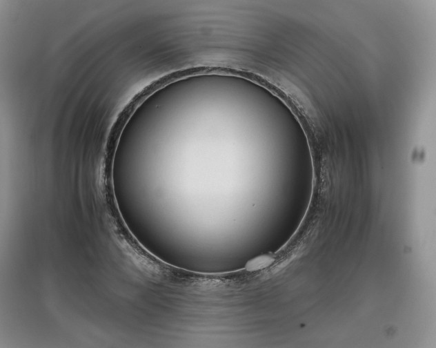 X0000097600880200803071427