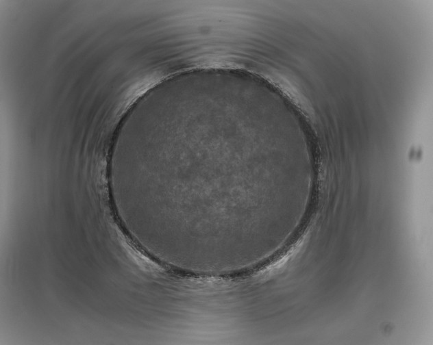 X0000097600881200803071427