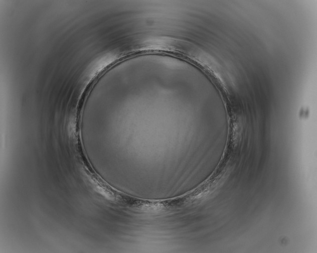 X0000097600882200803071427
