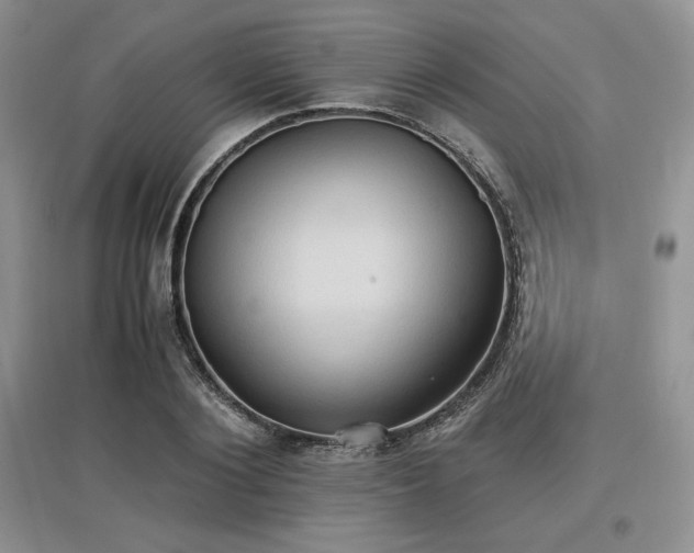 X0000097600884200803071427