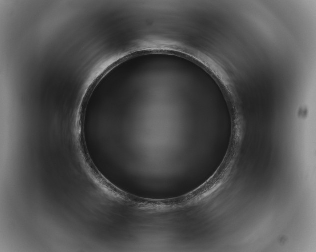 X0000097600885200803071427