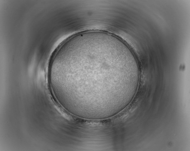 X0000097600886200803071427