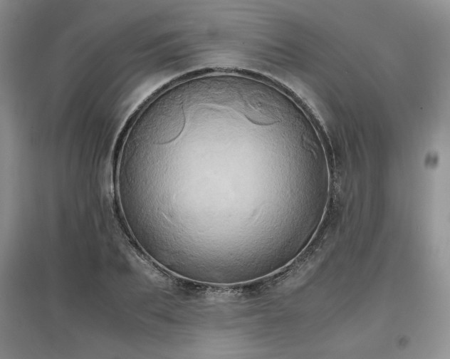 X0000097600887200803071427