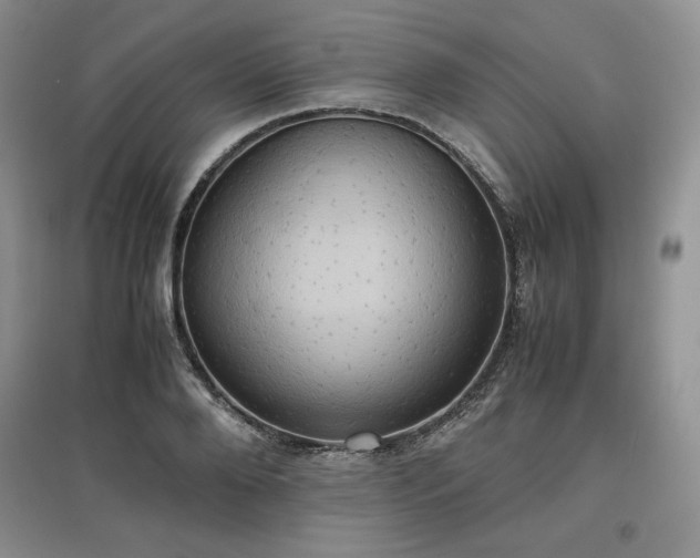 X0000097600888200803071427