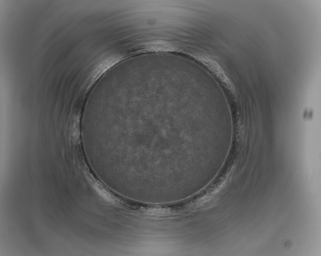X0000097600889200803071427