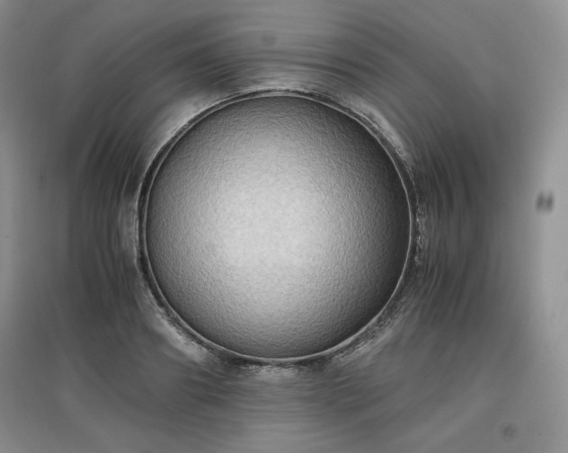X0000097600890200803071427