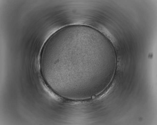 X0000097600892200803071427