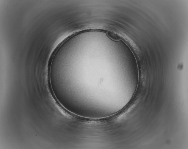 X0000097600894200803071427