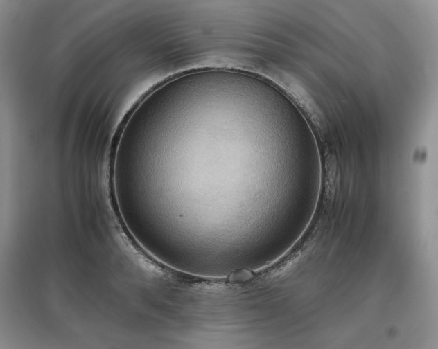 X0000097600896200803071427