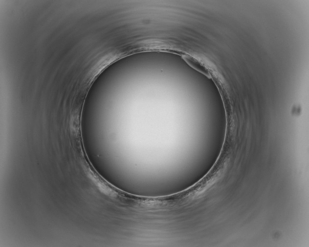 X0000097600897200803071427