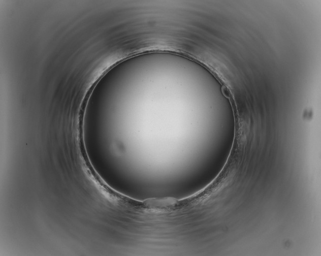 X0000097600898200803071427