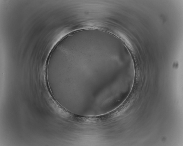 X0000097600899200803071427