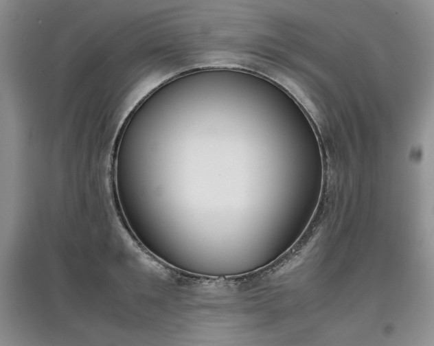 X0000097600901200803071427
