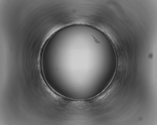 X0000097600902200803071427