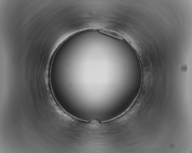 X0000097600904200803071427