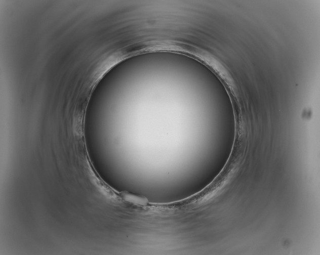 X0000097600905200803071427