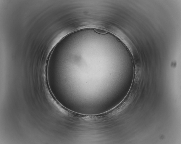 X0000097600906200803071427