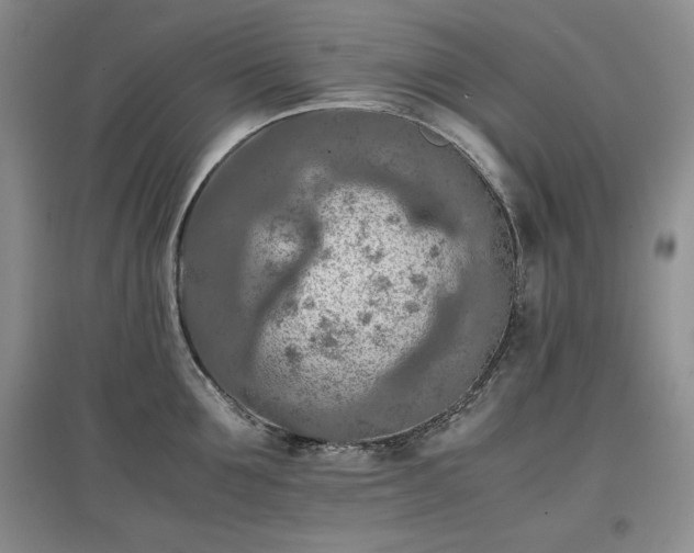 X0000097600907200803071427