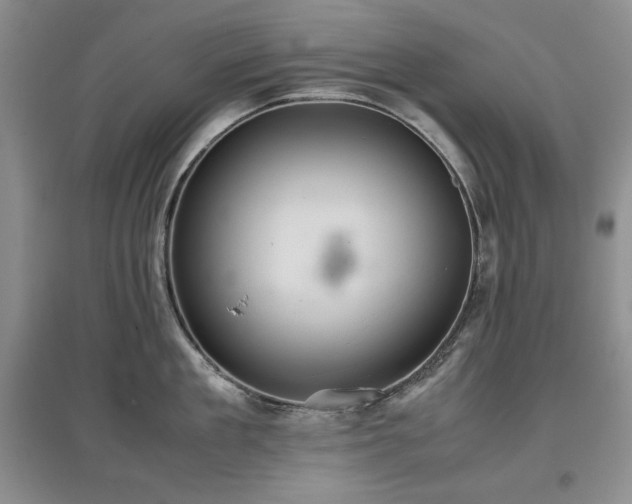 X0000097600909200803071427