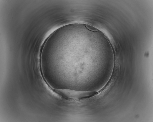X0000097600910200803071427