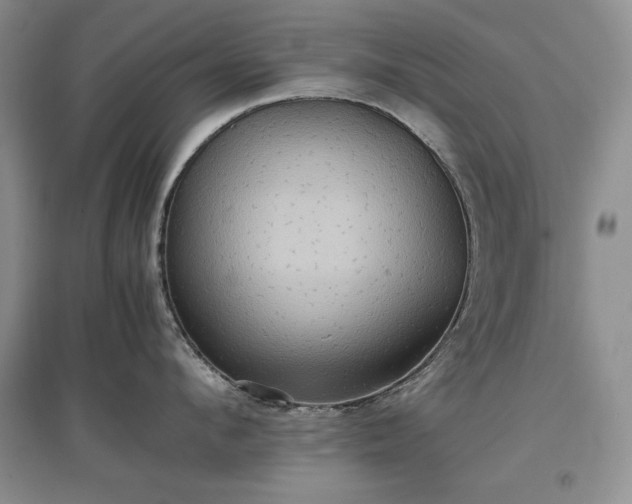 X0000097600912200803071427