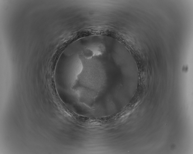 X0000097600913200803071426