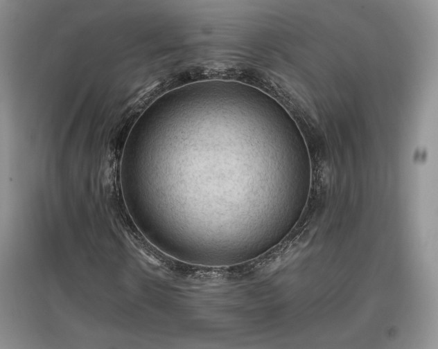 X0000097600914200803071426
