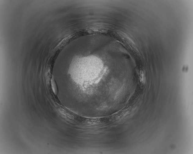 X0000097600915200803071426
