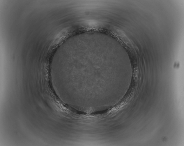 X0000097600916200803071426