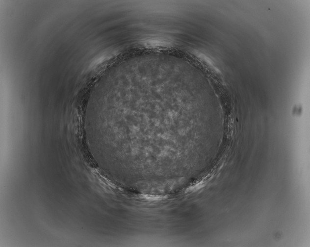 X0000097600917200803071426