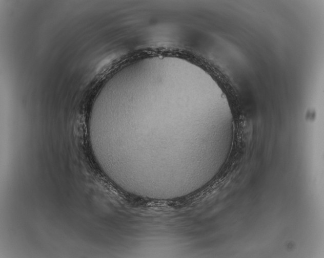 X0000097600918200803071426