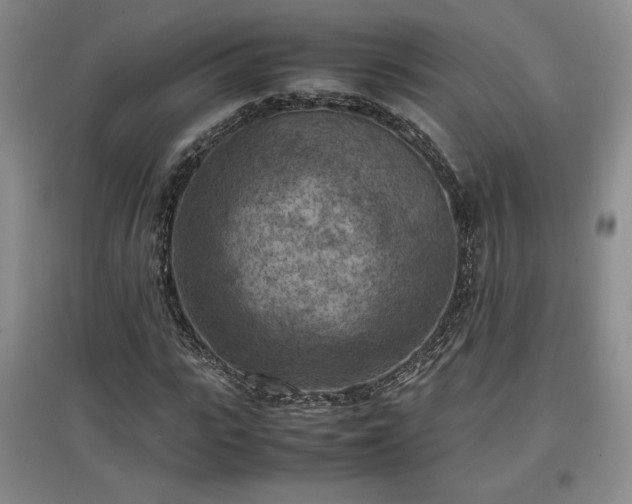 X0000097600919200803071426