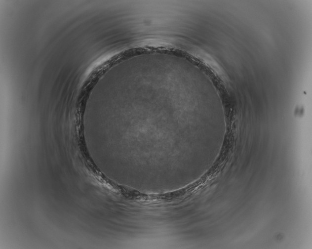 X0000097600920200803071426