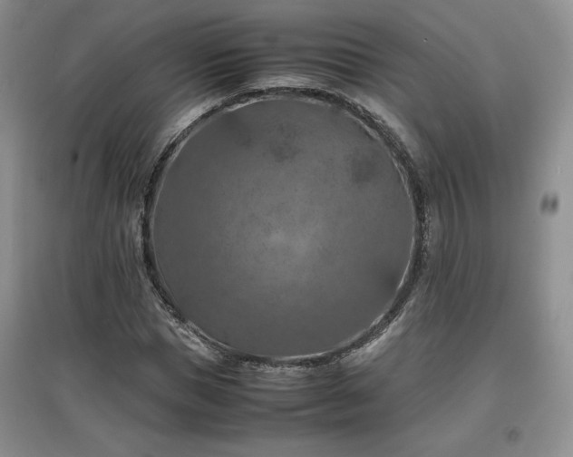 X0000097600921200803071426