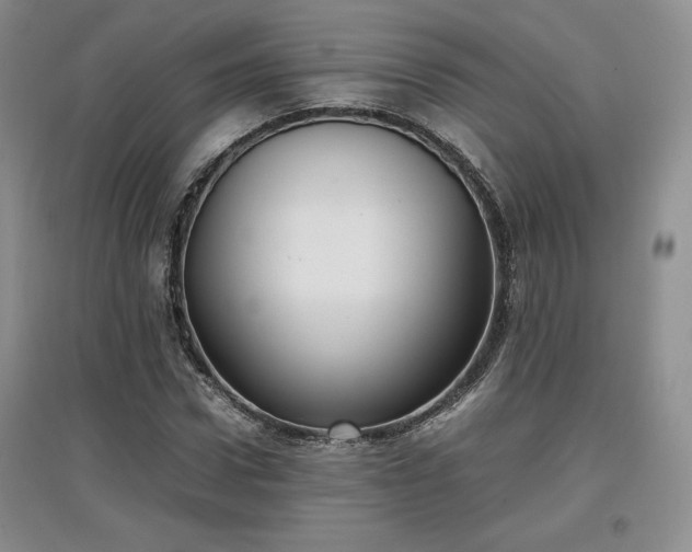 X0000097600922200803071426