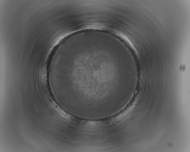 X0000097600923200803071426