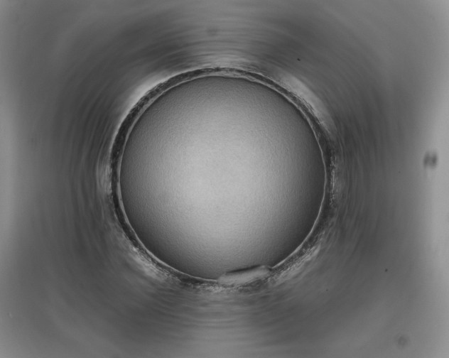 X0000097600924200803071426