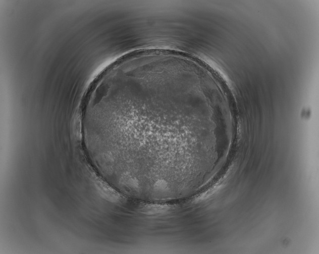 X0000097600925200803071426