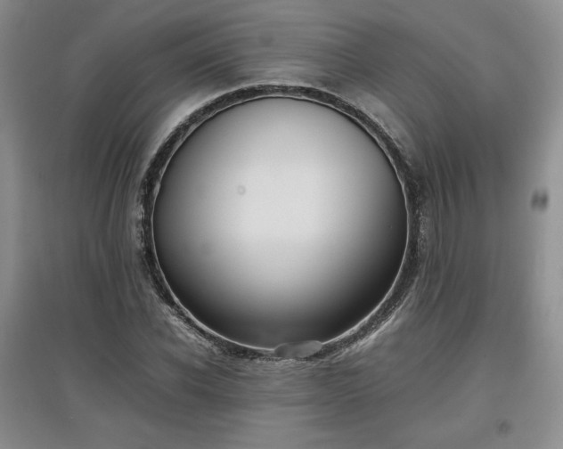 X0000097600926200803071426