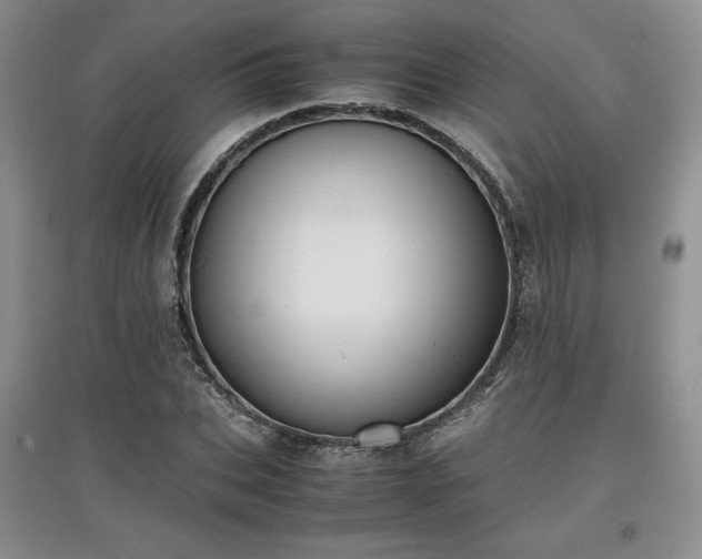 X0000097600927200803071426