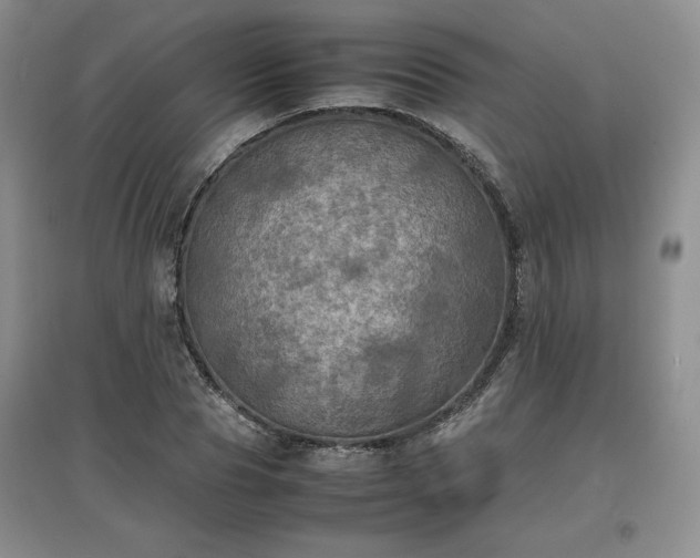 X0000097600929200803071426