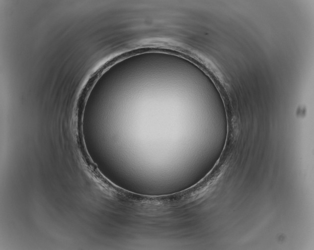 X0000097600931200803071426