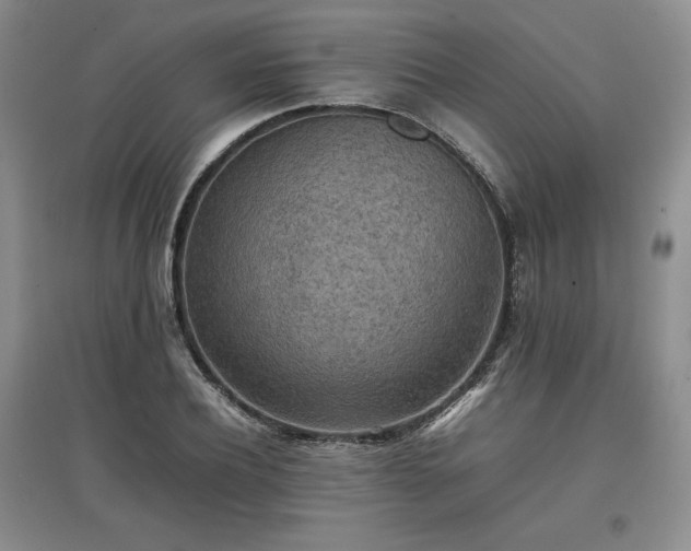 X0000097600932200803071426