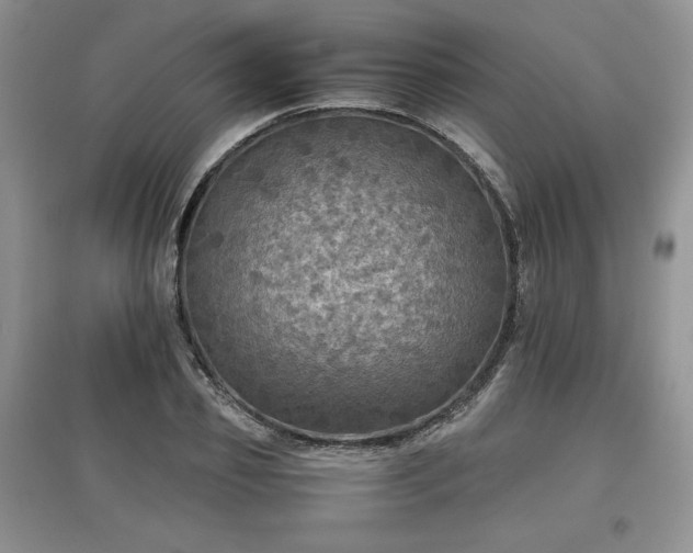 X0000097600933200803071426